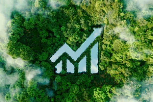 GIC认为AI创投存在“炒作”泡沫 可能发生财政风险事件